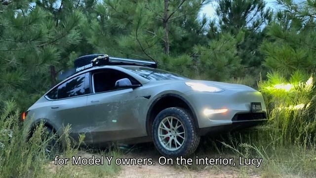 Petrolhead Drives A 2024 Tesla Model Y For The First Time