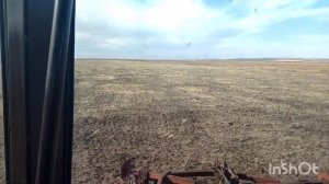 Производительность Биг 3а с Мтз 82.3 по относительно ровному полю с длинным гоном.