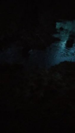 VID_20250308_185628.mp4ричард купается
