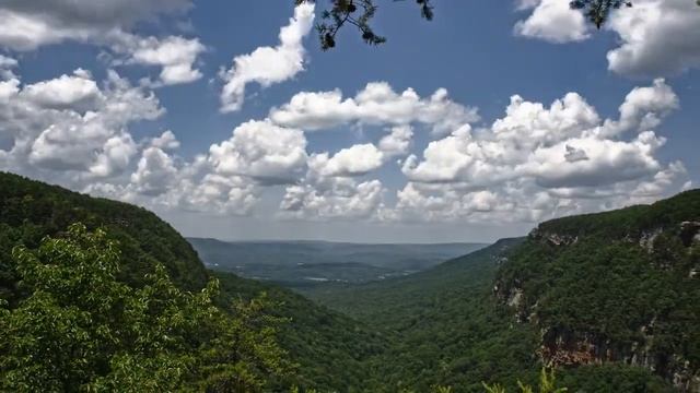 B&K Co. Ltd смотреть онлайн