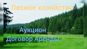 Земли лесного фонда