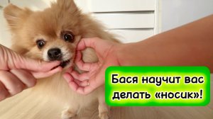 Бася научит вас делать «носик»!