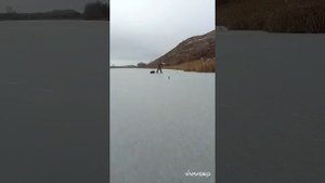 КАБАНКИНО В НАЧАЛЕ ДЕКАБРЯ!