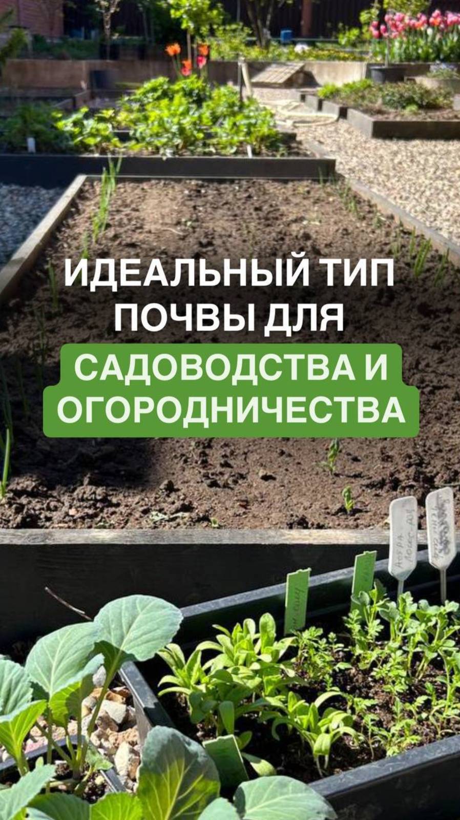 Идеальный тип почвы для садоводства и огородничества #нутрициолог #нутрициология #почва #компост