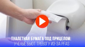 Туалетная бумага – тихий убийца природы? Новое исследование шокирует!