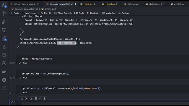 PyTorch tutorial video 5 | Transfer learning on custom dataset in PyTorch
