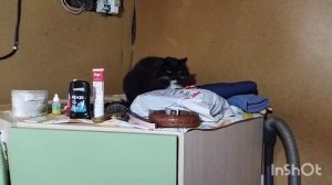 зачем нам столько снега 🤔🤔🤔