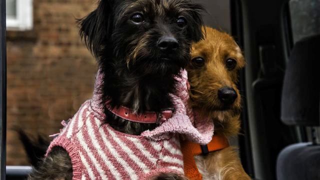 Хорошие русские песни для отдыха онлайн смотреть онлайн