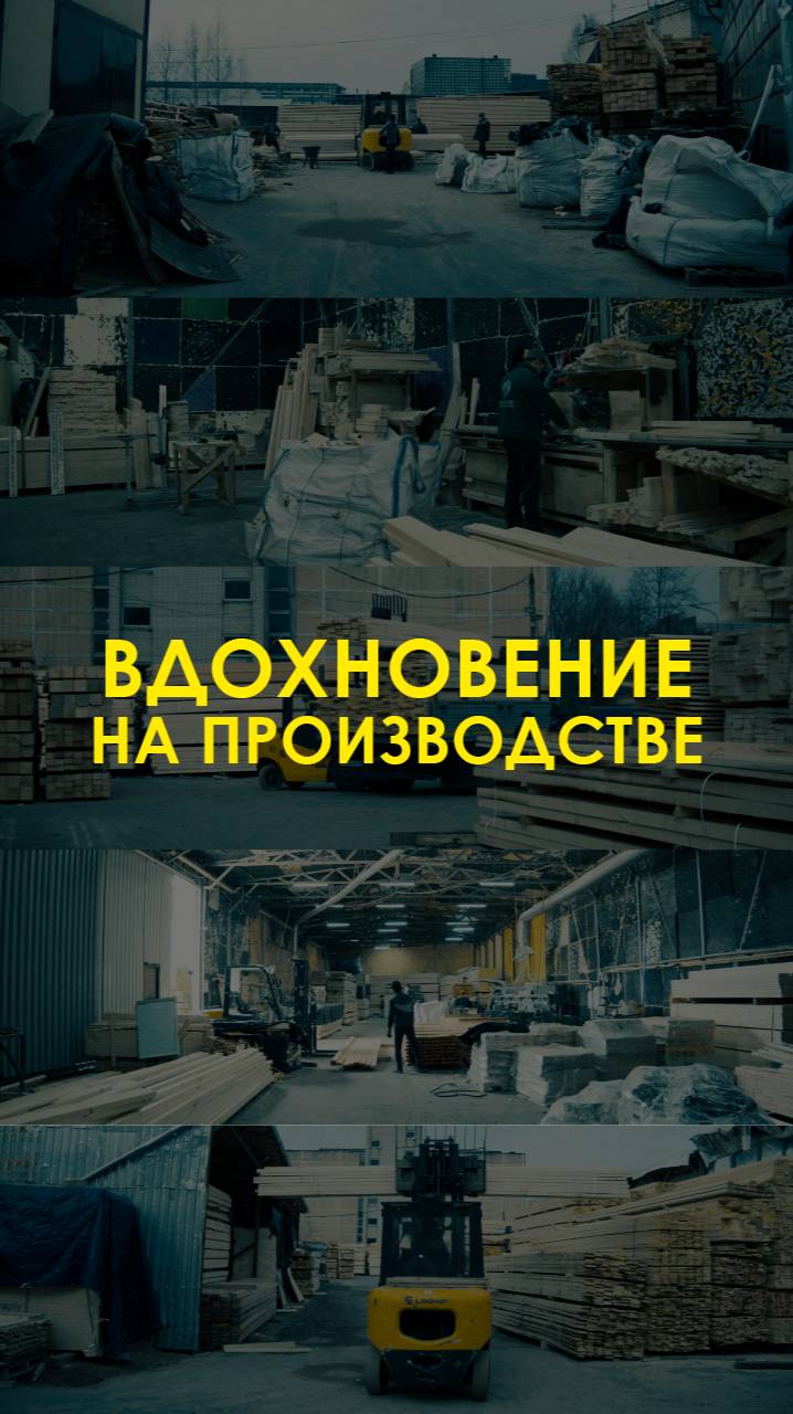 В "Альянс-Лес" красота повсюду