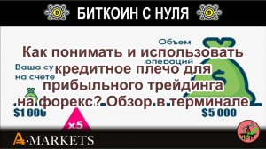 Как понимать и использовать кредитное плечо для прибыльного трейдинга на форекс? Обзор в терминале