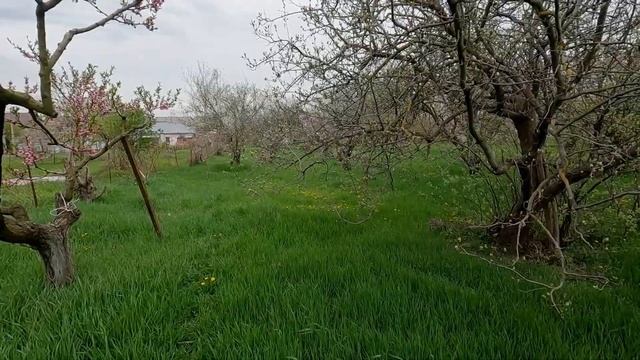 Участок в Анапской под постройку своего коттеджного поселка #анапа #участок #участокуморя