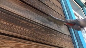 Очистка деревянного фасада от пыли