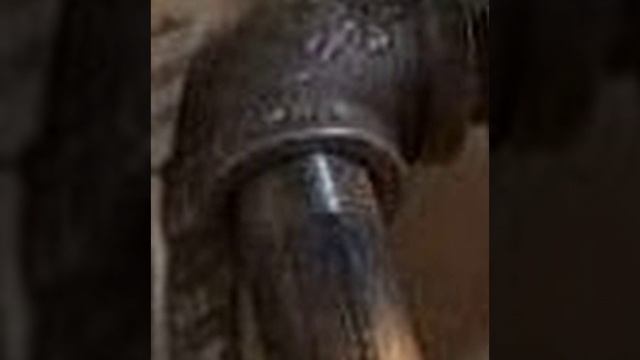 Holiday In Berlin, Full Blown (transcription) смотреть онлайн