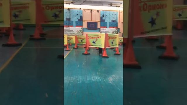 Соревнования «Спортивный лабиринт-2019» смотреть онлайн