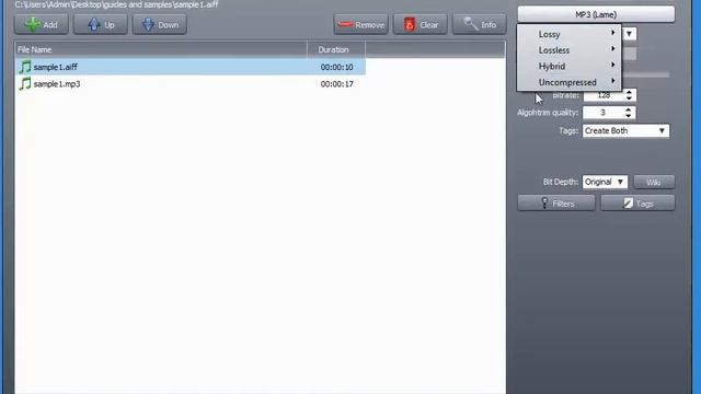 TAudioConverter demonstration смотреть онлайн