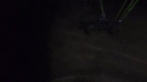 Как поймать рака ночью на фонарик