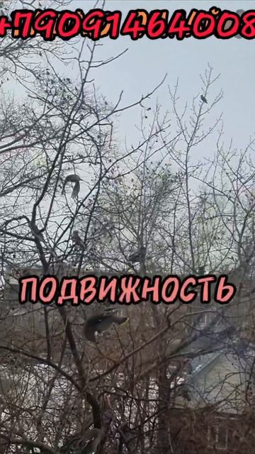 13 марта.
АСТРОЛОГИЯ ДНЯ.

Найдем что-то новое , интересное. 
За счет подвижности, ловкости , хороше