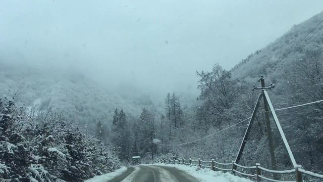 Поездка в Карпаты смотреть онлайн