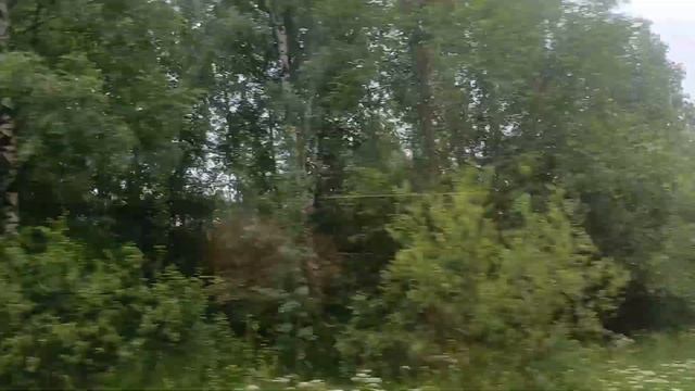 Электропоезд Финляндский вокзал - Мельничный Ручей смотреть онлайн