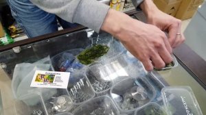 Сетка для мха AR