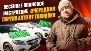Весеннее японское настроение. Очередная партия авто от Токидоки