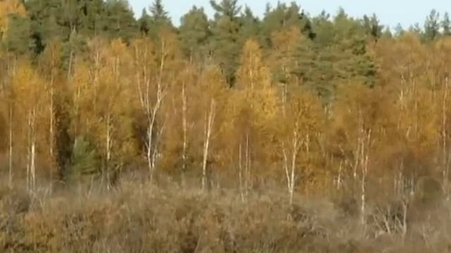 Бабье лето - "Womеn" summer смотреть онлайн