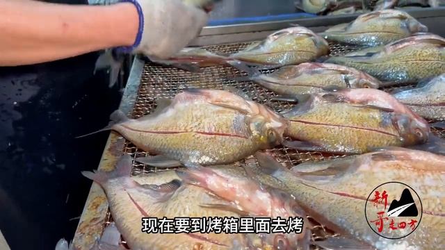 岳阳小伙做鱼有妙招，毛孔张开撒腌料，活鱼3秒腌制完 смотреть онлайн