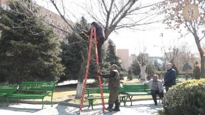 Весна в Парке Благодарения РАУ