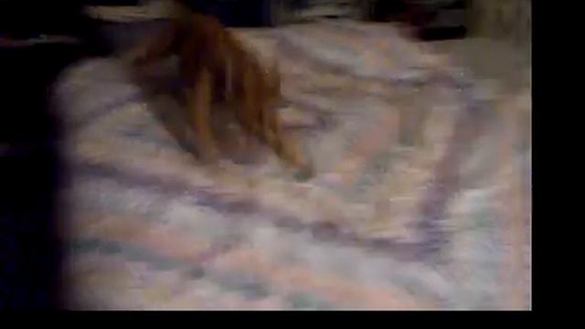 GEISHA RUNS CRAZY JACK-A-LOPE ON BED jocy смотреть онлайн