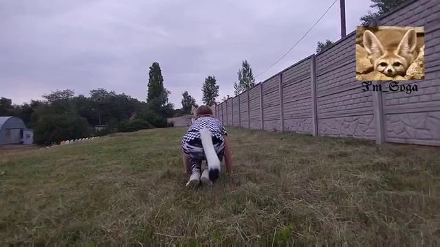 Долгожданый туторчик на бег и рысь! смотреть онлайн