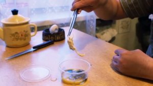 ТОП5 УДАЧНЫХ ЭКСПЕРИМЕНТОВ ГОМУНКУЛА