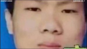 CAT in BLENDER full video CONTROVERSY