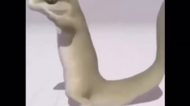 просто ящерица танцует свой танец смотреть онлайн