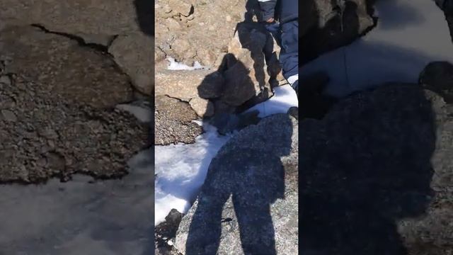 Тюс байкал смотреть онлайн