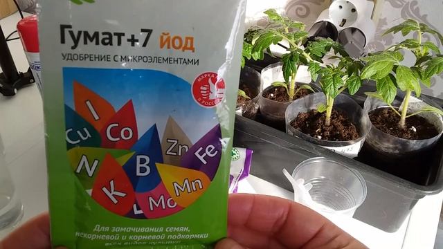 Как БЕЗОПАСНО и С ПОЛЬЗОЙ подкормить рассаду БОРОМ