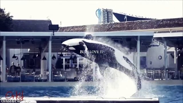 ɴɪɢʜᴛᴍᴀʀᴇ • |☪︎|• 𝙊𝙧𝙠𝙞𝙙 смотреть онлайн