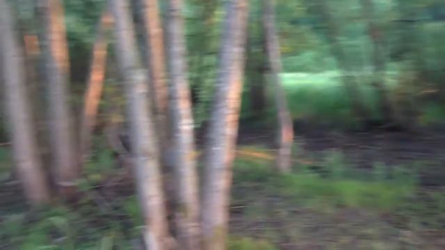 Можайское море