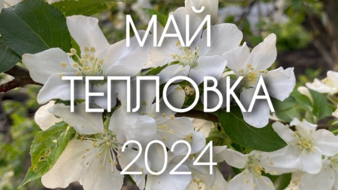 Тёпловка. Май. 2024
