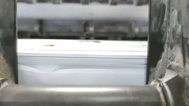 Видеоотчет офсетной печати и резки книги Все о муке