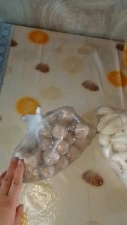 прикупила полуфабрикатов