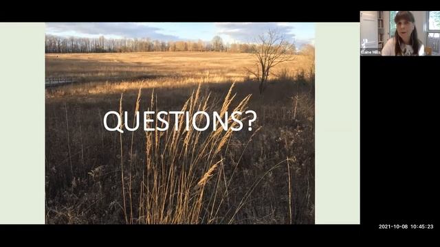 Native Flowers, Fruits & Foliage for Fall смотреть онлайн