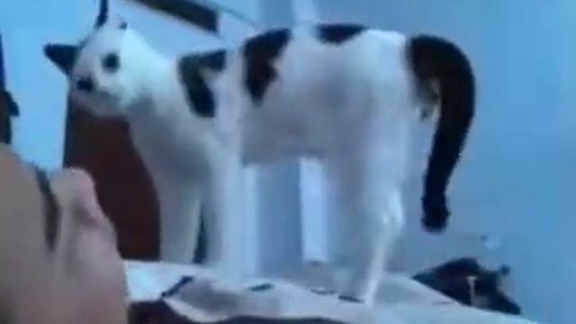 сон прерван смотреть онлайн