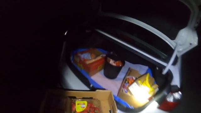 DUMPSTER DIVING/ THE STORE THREW A LOT OF MANDARINS & MORE