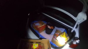 DUMPSTER DIVING/ THE STORE THREW A LOT OF MANDARINS & MORE