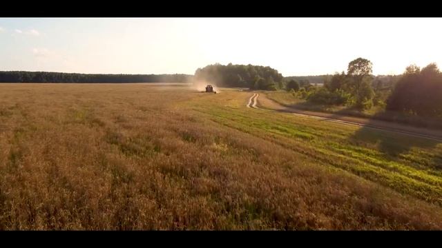 Лето. Поле. Комбайны. смотреть онлайн