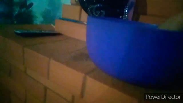 ПРЕДНОВОГОДНЯЯ УБОРКА КУХНИ//УБОРКА БАРДАКА//ПОКАЗЫВАЮ ВСЁ 🙀.