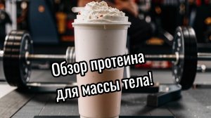 Короткий обзор протеина.