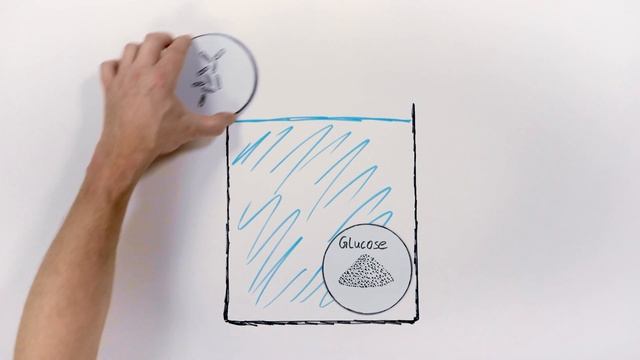 BOOST YOUR PLANTS TO THE MAX | Fluval Bio-CO2 Pro смотреть онлайн