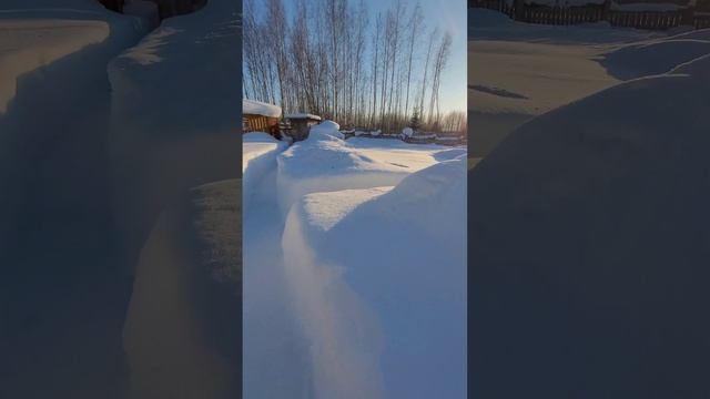 ЗИМОЙ НА ДАЧЕ. СТРОИМ ДОМ. В КРАЮ БЕРЁЗОВОМ смотреть онлайн