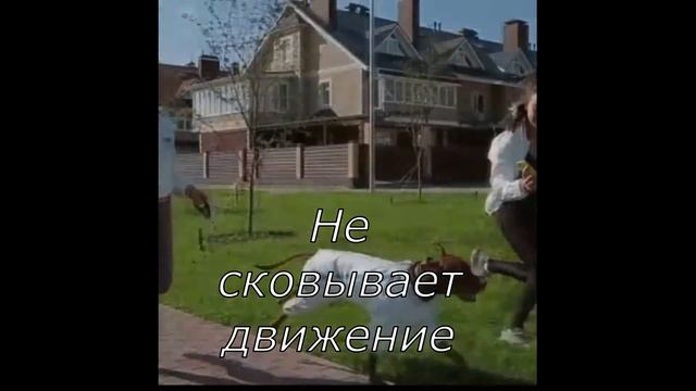 Спорт цэх - реклама собачьей одежды